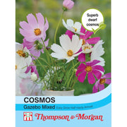 Cosmos bipinnatus Gazebo Mixed