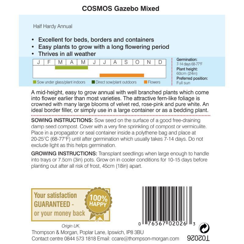Cosmos bipinnatus Gazebo Mixed