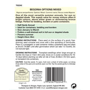 Begonia semperflorens Options