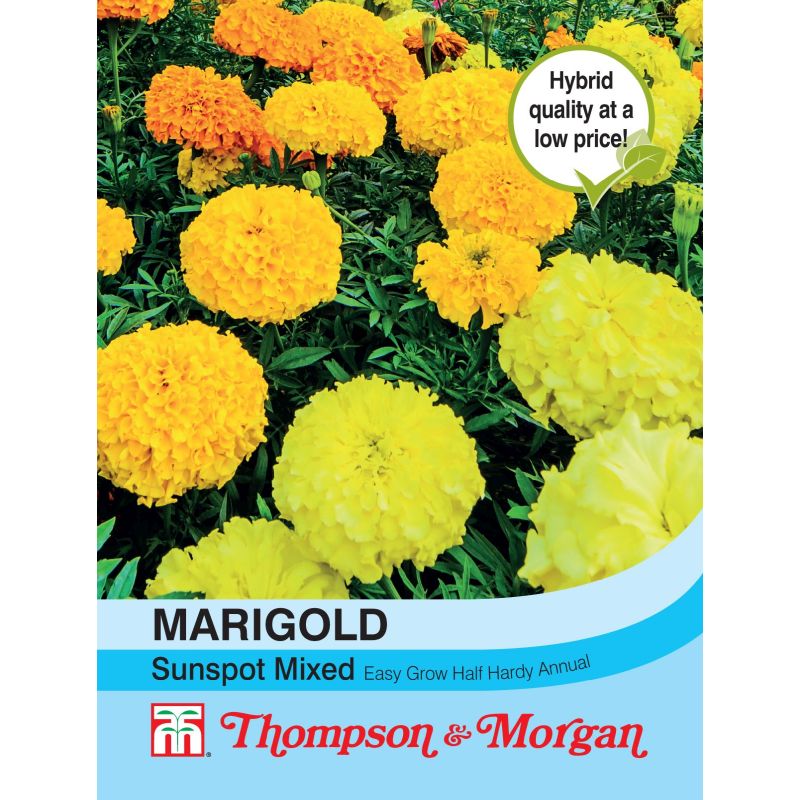 Marigold Sunspot Mix