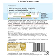 Polyanthus Pacific Giants Mix