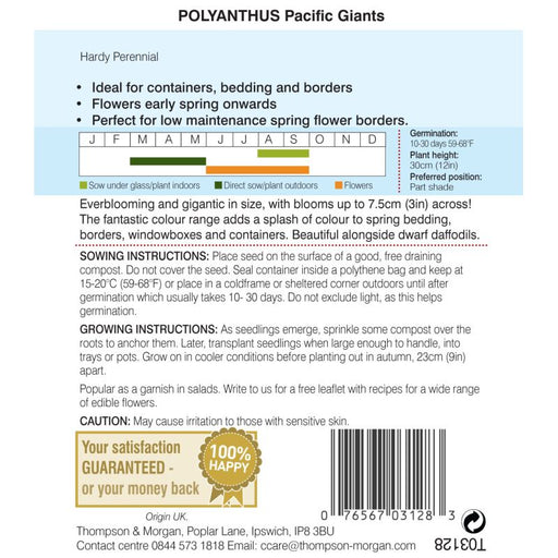 Polyanthus Pacific Giants Mix