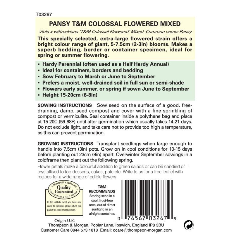 Pansy T&M Colossal Flower Mix