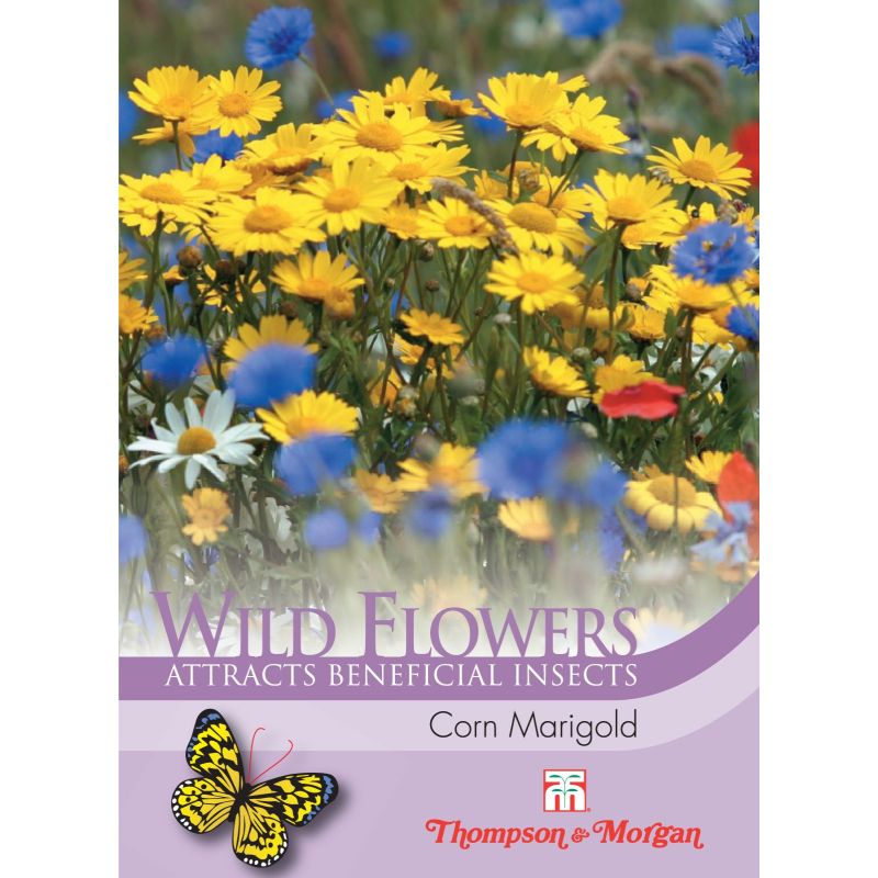 Wild Flower Corn Marigold