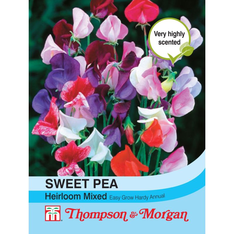 Sweet Pea Heirloom Mix