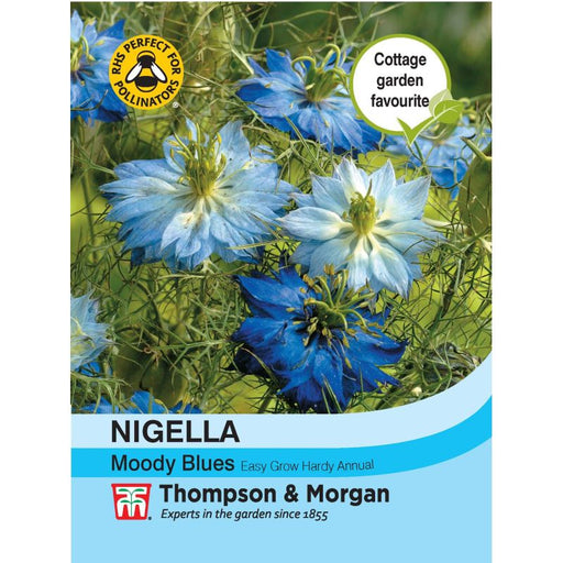 Nigella Moody Blues