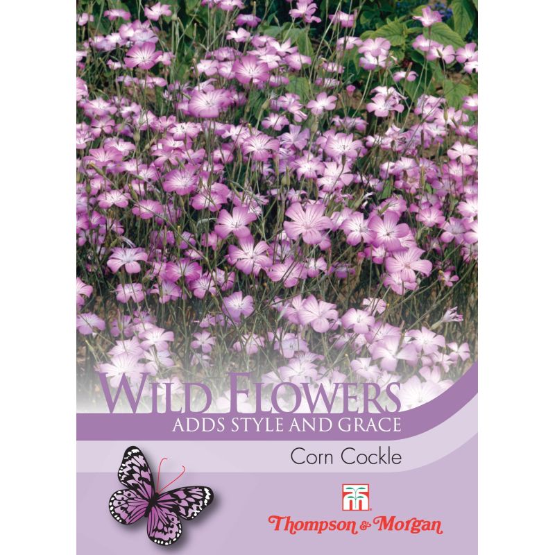 Wild Flower Corn Cockle