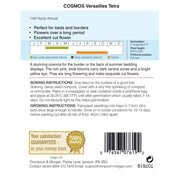 Cosmos Versailles Tetra