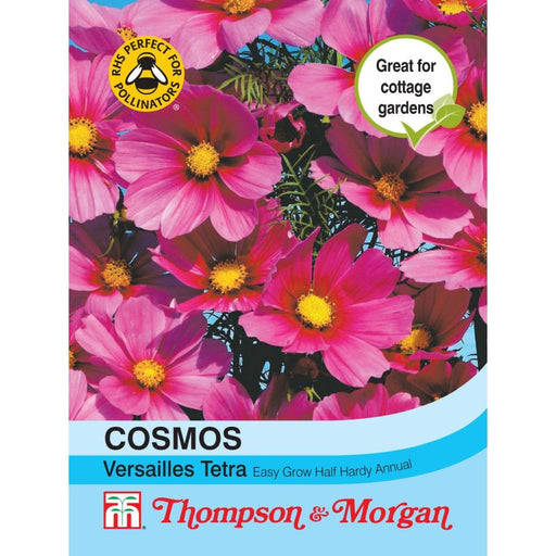 Cosmos Versailles Tetra