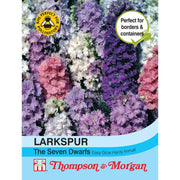 Larkspur The Seven Dwarfs