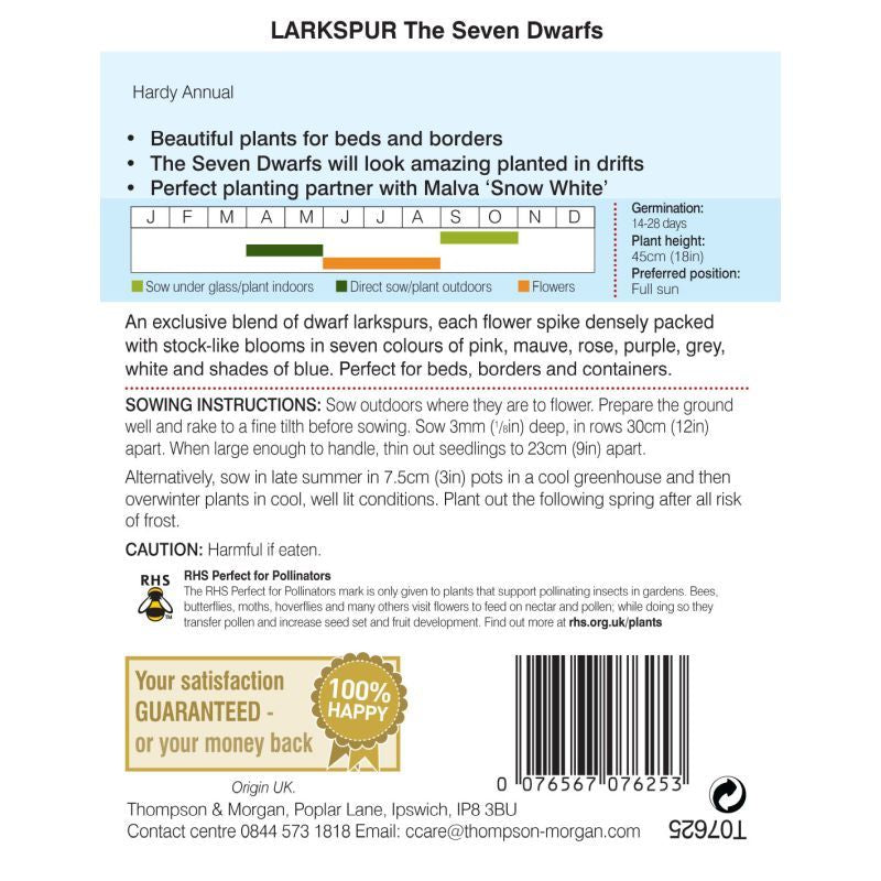 Larkspur The Seven Dwarfs