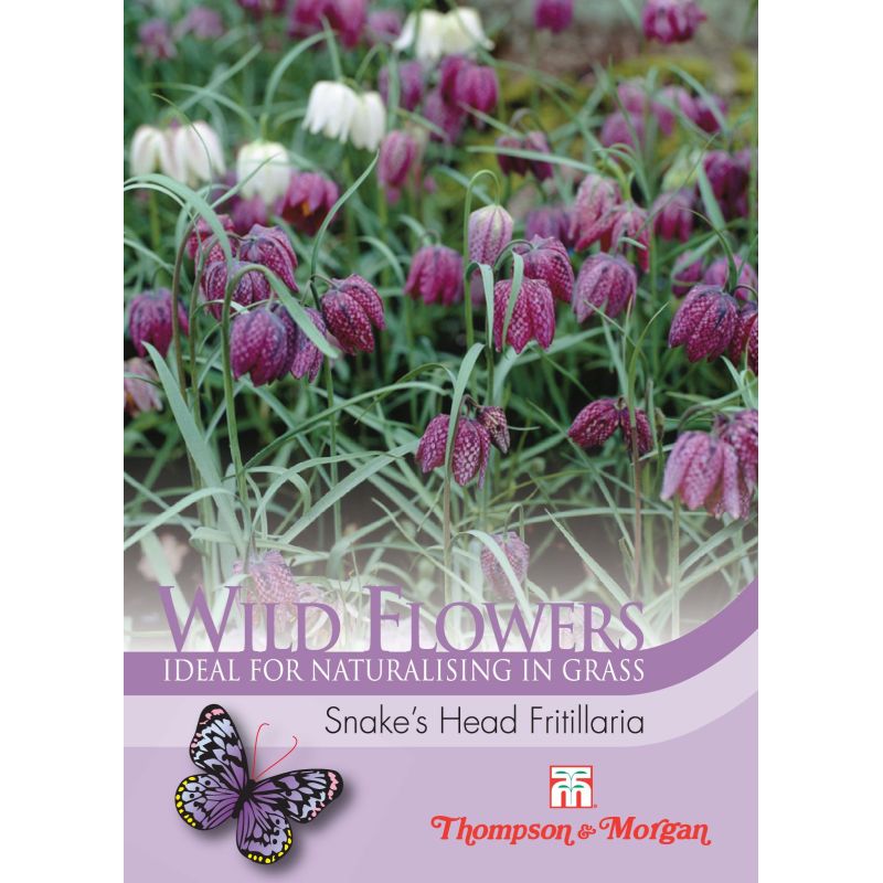 Bee Friendly - Wild Flower Snakes Head Fritil