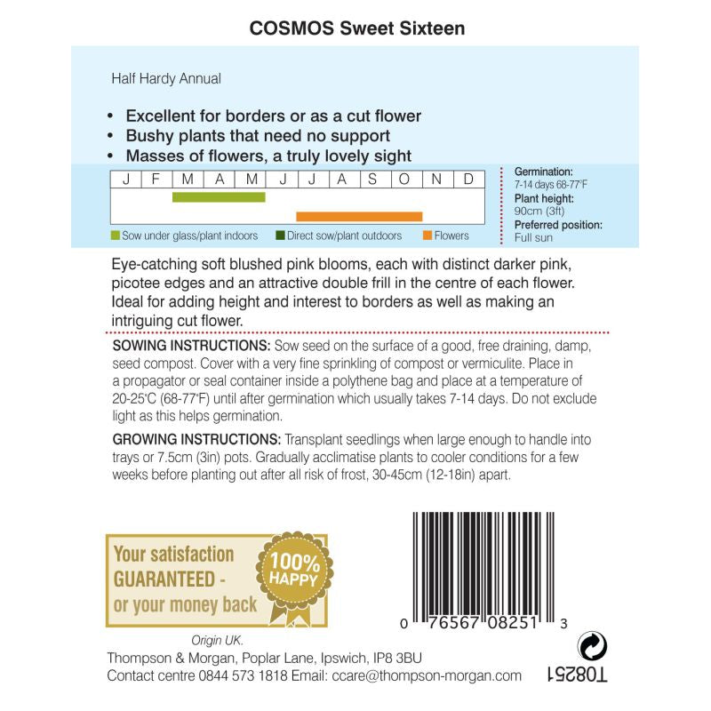 Cosmos Sweet Sixteen