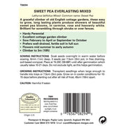 Sweet Pea Everlasting