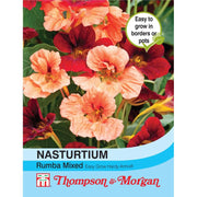 Nasturtium Rumba Mix