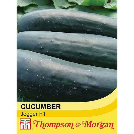 Cucumber Jogger Hy