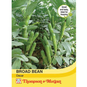 Broad Bean Oscar