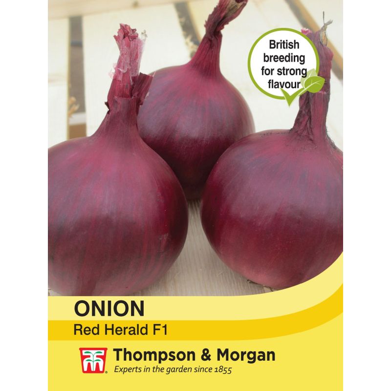 Onion R. Herald