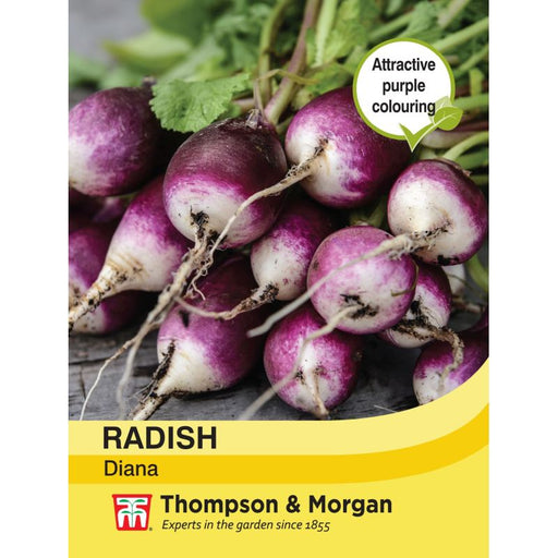 Radish Diana