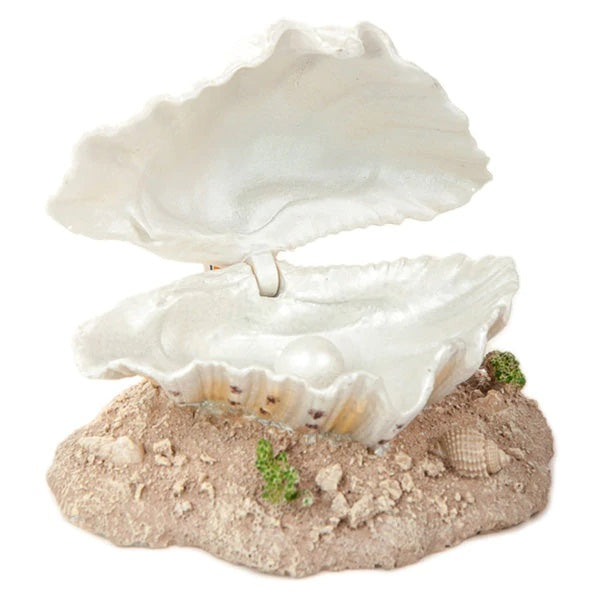 Air Action Clam Medium 12cm x 8cm
