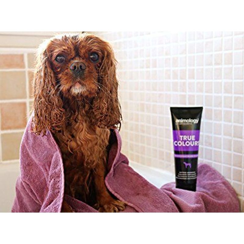 Animology True Colours Shampoo 250ml