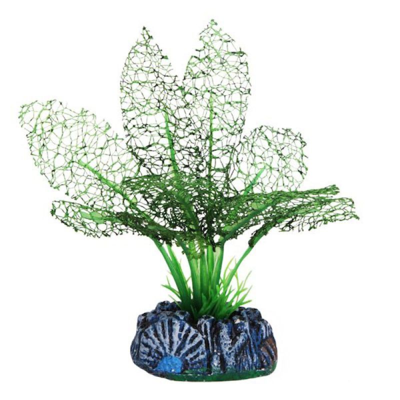 Betta 13cm Silk Grn Lace Plant