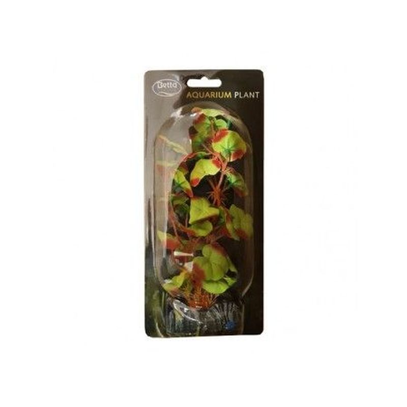 Betta Choice 20cm Silk Red-Edged Hydrocotle