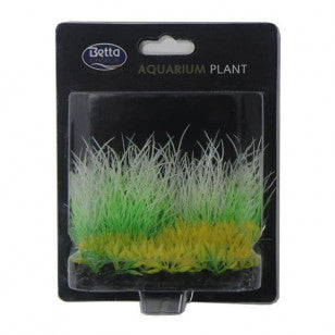 Betta Choice 7cm Foreground - Hairgrass