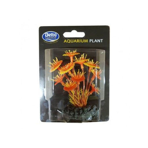 Betta Choice Red Mushroom 9cm