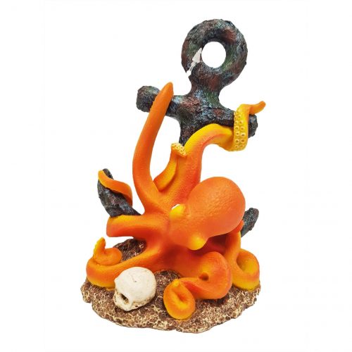 Betta Octopus on Anchor