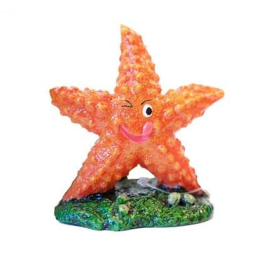 Betta Orange Starfish