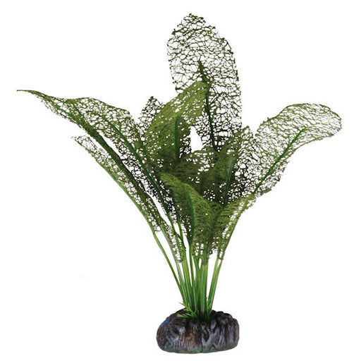 Betta Silk Green Lace Plant 30cm