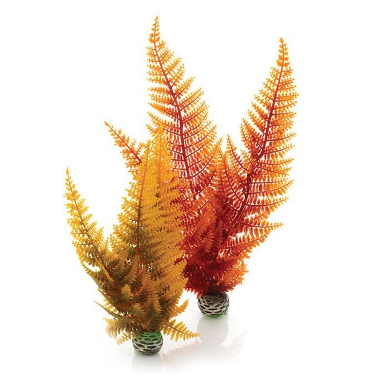 BiOrb Aquatic Autumn Fern