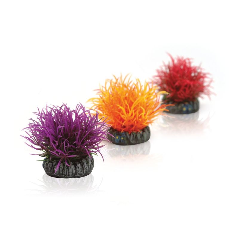 BiOrb Aquatic Colour Ball Pack of 3