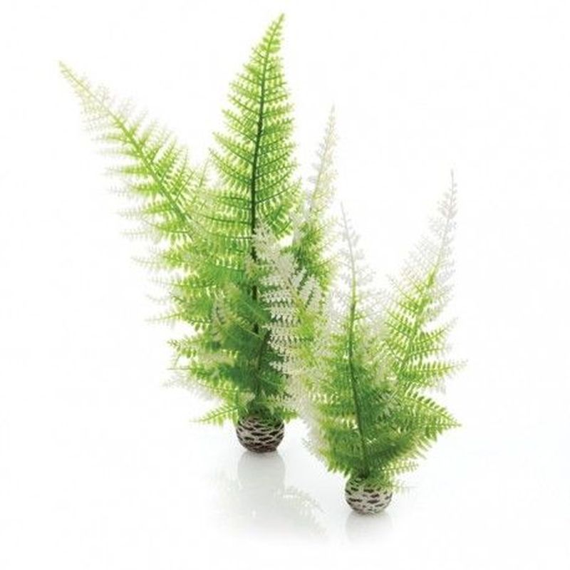 BiOrb Aquatic Winter Fern