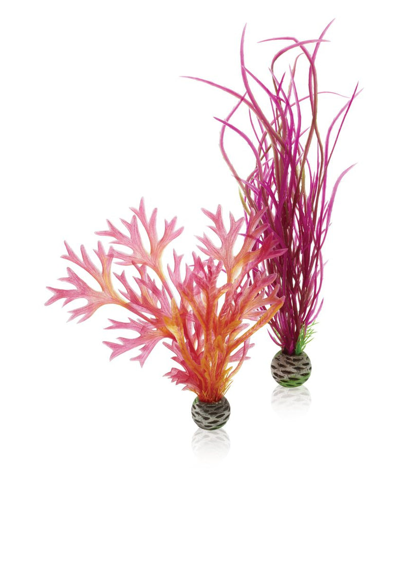 BiOrb Plant Set Red & Pink Medium
