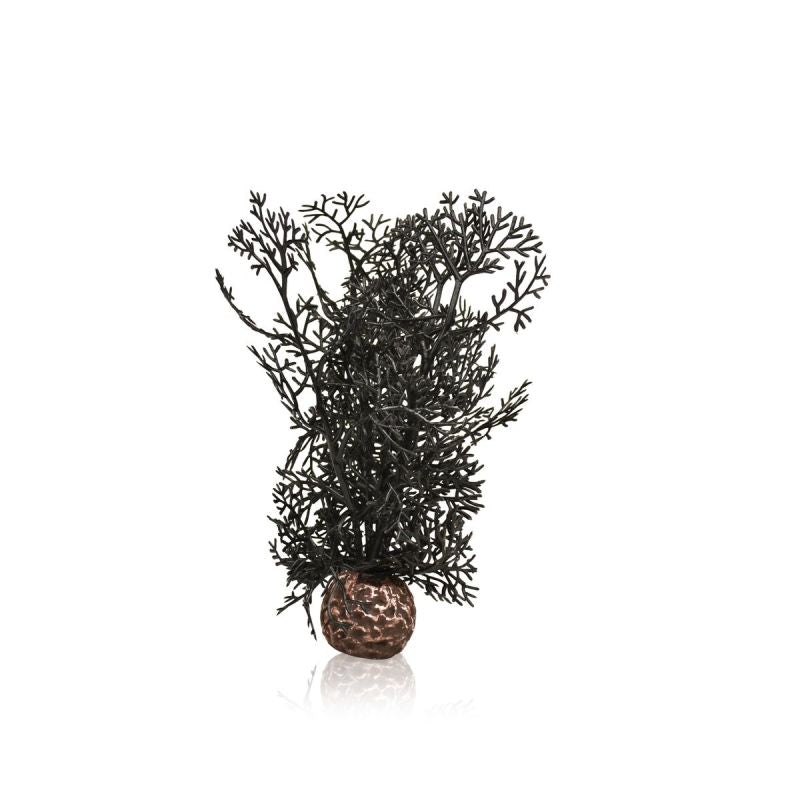 BiOrb Sea Fan Black Small