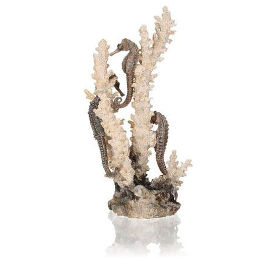 BiOrb Seahorse Coral Ornament Natural Medium