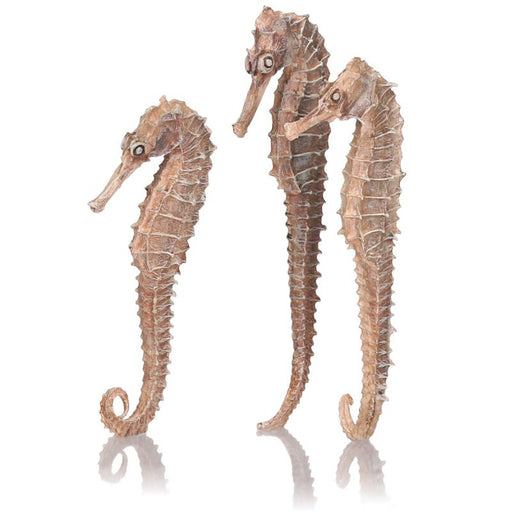 BiOrb Seahorse Set of 3 Natural
