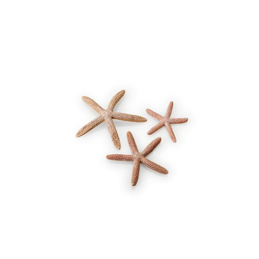 BiOrb Starfish Set of 3 Natural