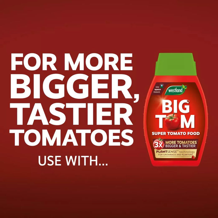 Westland Big Tom Peat Free Tomato Planter Large
