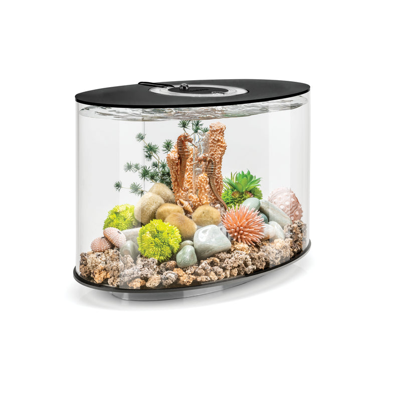 Biorb LooP 15 MCR black