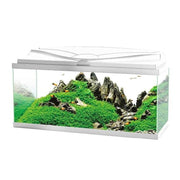 Ciano Aquarium Aqua 80 In White With LED Lights & White Lid - 80 x 30 x 41.5cm