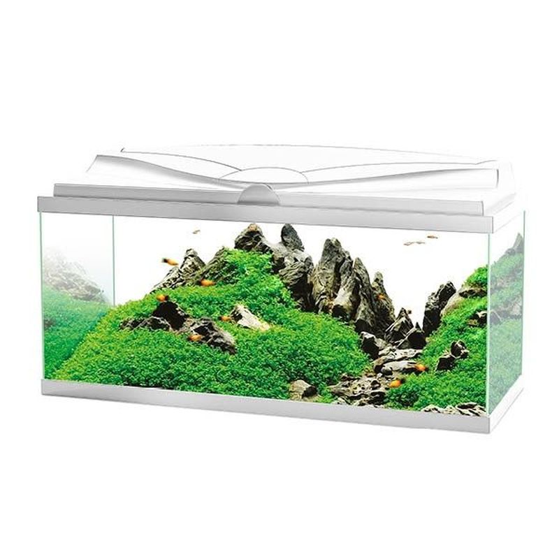 Ciano Aquarium Aqua 80 In White With LED Lights & White Lid - 80 x 30 x 41.5cm