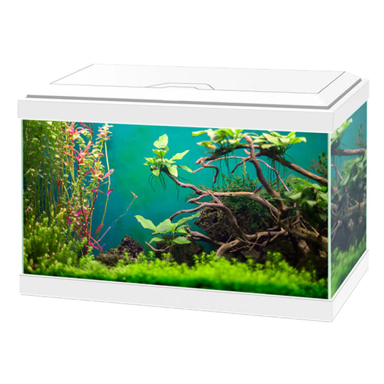 Ciano Aqua 20 Classic White With Filter 17 Litre