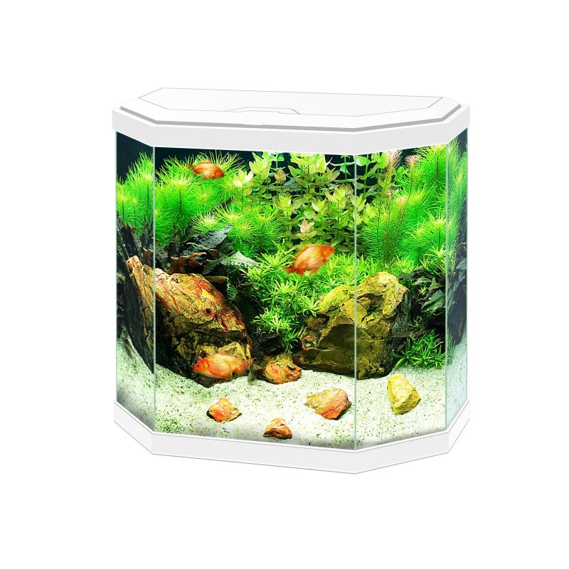 Ciano Aqua 30 Hex White With LED Lights & Filter 25 Litre