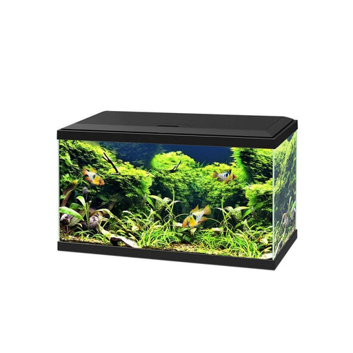 Ciano Aquarium Aqua 60 With Lights & Black Lid 60cm x 30cm x 33.5cm With CFBIO 150 Filter