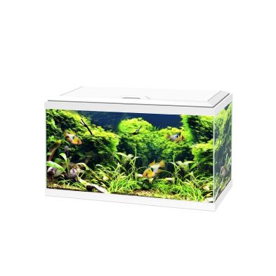 Ciano Aquarium Aqua 60 Lights & White Lid 60cm x 30cm x 33.5cm With CFBIO 150 Filter