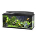 Ciano Aquarium Aqua 80 With LED Lights & Black Lid - 80cm x 30cm x 41.5cm