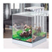 Ciano Nexus Pure 25 Aquariumm With LED Lights